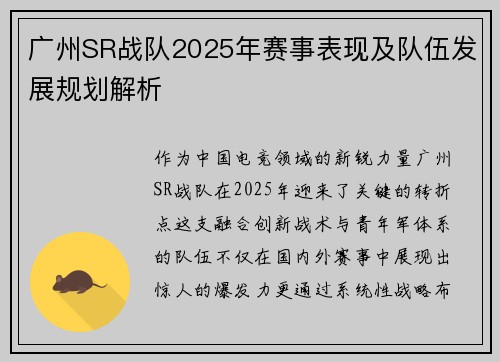 广州SR战队2025年赛事表现及队伍发展规划解析