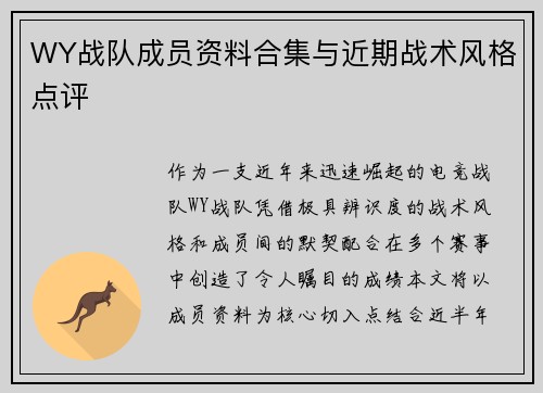 WY战队成员资料合集与近期战术风格点评